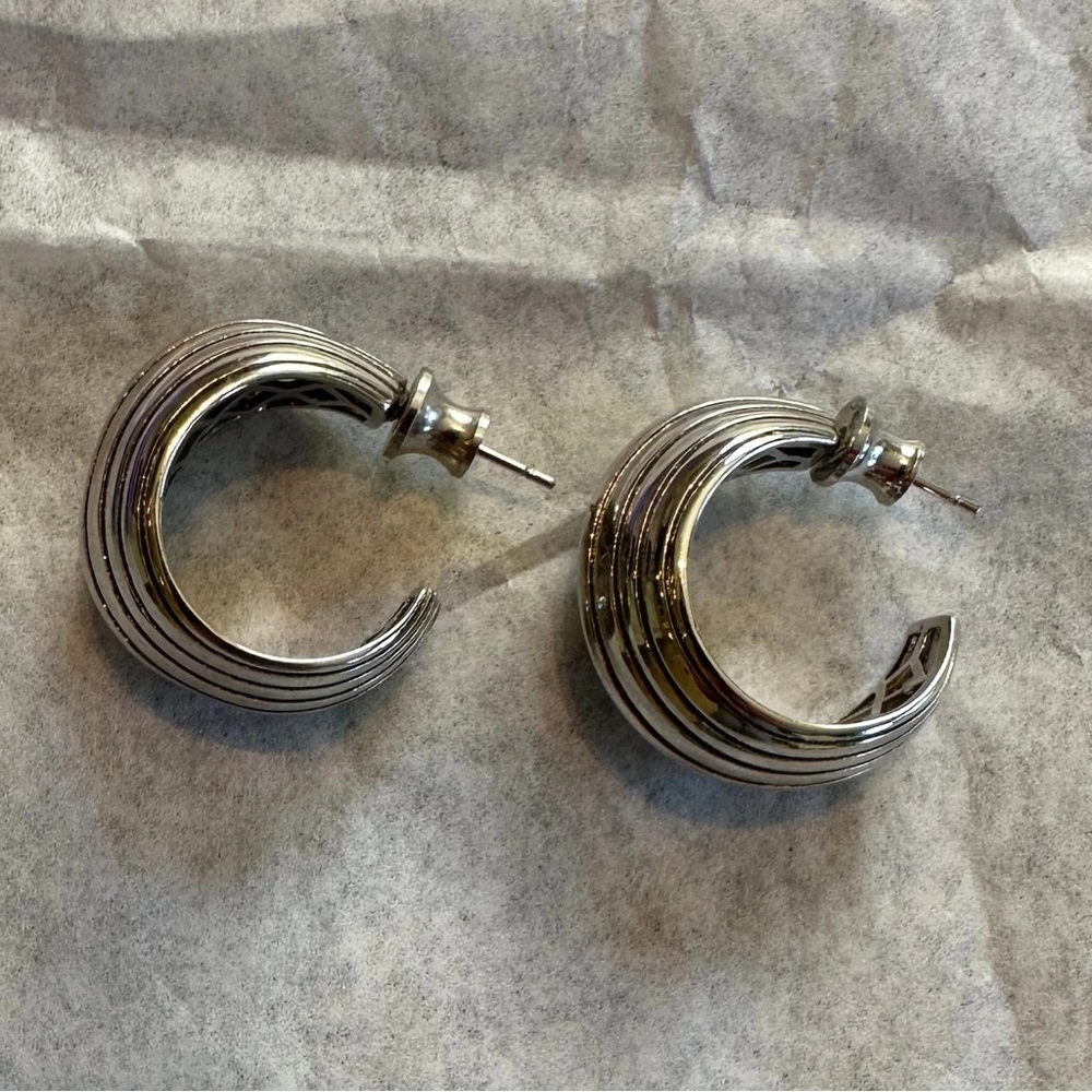 Elegant Silver Hoop Earrings